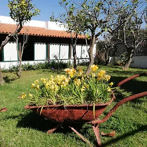 Limón Y Sol , El Sauzal España